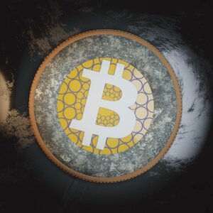 coins_blockchain: 213