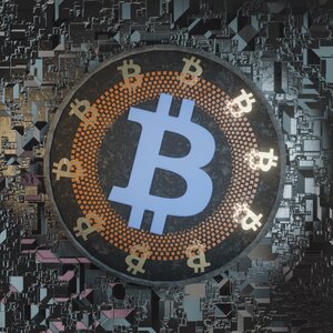 coins_blockchain: 164