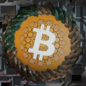 coins_blockchain: 235