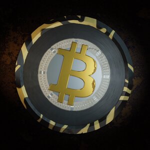 coins_blockchain: 916