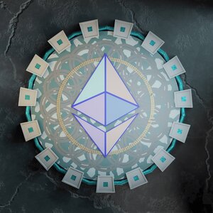 coins_blockchain: 319