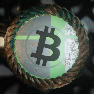 coins_blockchain: 1669